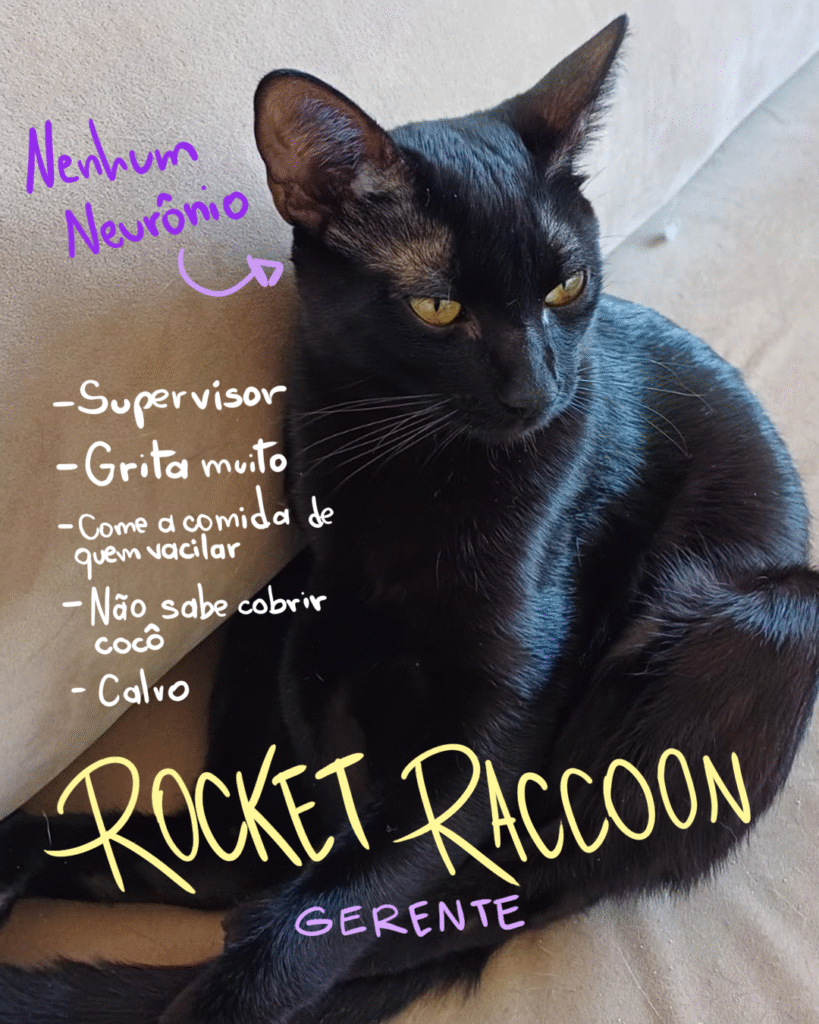 rocket